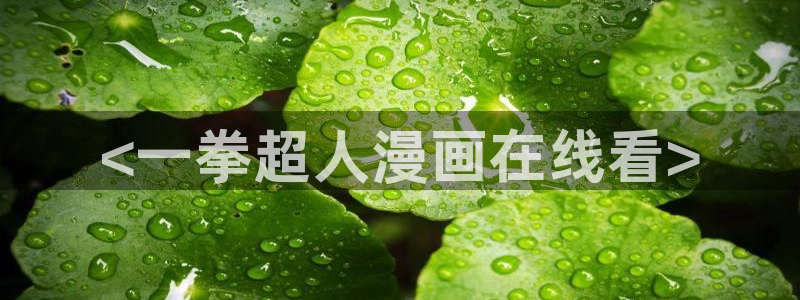 汗汗漫画漫画首页：<一拳超人漫画在线看>